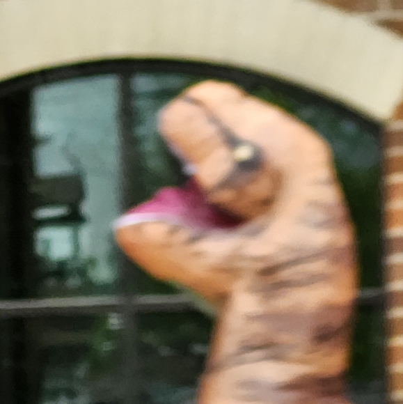 Meet your Posher, Hailey - Picture 1 of 1